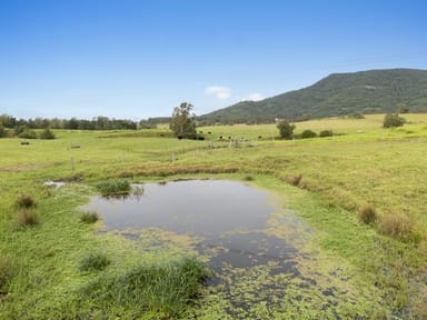 Property 680 Summerhill Road, VACY NSW 2421 IMAGE 0