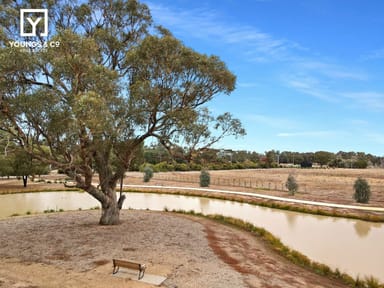 Property 8 Innishill Cct, Shepparton North VIC 3631 IMAGE 0