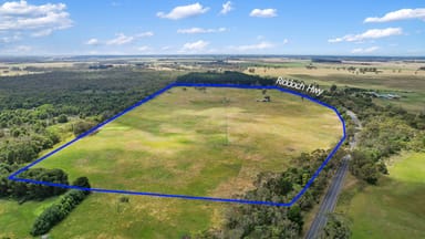 Property Lot 459 Riddoch Hwy, Dismal Swamp SA 5291 IMAGE 0