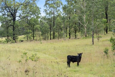 Property 2/2325 Monkerai Road, Weismantels NSW 2415 IMAGE 0