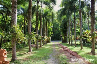 Property 64 Rosewood Road, Cow Bay QLD 4873 IMAGE 0