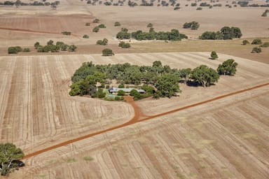 Property 4258 Dandaragan Road, Dandaragan WA 6507 IMAGE 0