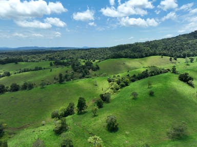 Property 659 Middlebrook Road, Millaa Millaa QLD 4886 IMAGE 0