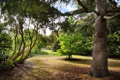 Property 95 Cypress Drive, Elphinstone VIC 3448 IMAGE 0