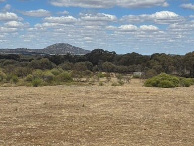 Property CA8 Calder Highway, Wedderburn VIC 3518 IMAGE 0