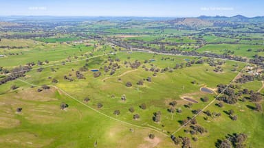 Property 13703 Hume Highway, MULLENGANDRA NSW 2644 IMAGE 0