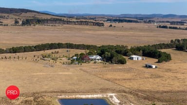 Property 137 Leahys Lane, Lake Bathurst NSW 2580 IMAGE 0