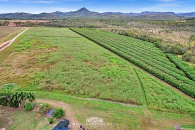 Property 994 Leafgold Weir Road, DIMBULAH QLD 4872 IMAGE 0