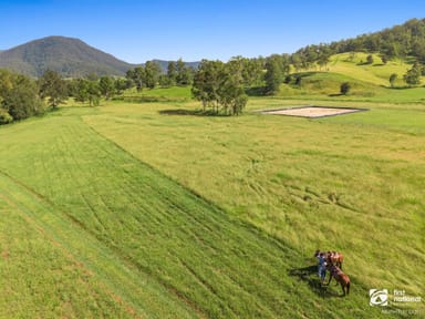 Property 173 Collins Valley Road, Lynchs Creek NSW 2474 IMAGE 0