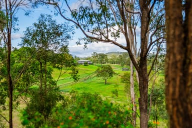 Property 539 Oaky Creek Road, OAKY CREEK QLD 4285 IMAGE 0
