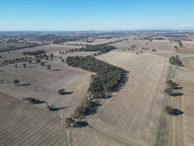 Property 1501 Howlong-Goombargana Road, BROCKLESBY NSW 2642 IMAGE 0