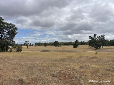 Property 204 Cullalla Road, Mooliabeenee WA 6504 IMAGE 0