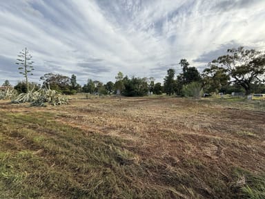 Property GUNNINGBLAND NSW 2876 IMAGE 0