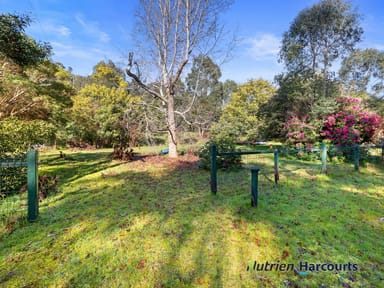 Property 81 Silver Creek Road, FLOWERDALE VIC 3717 IMAGE 0