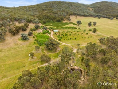 Property 354 Glenrowan-Moyhu Road, Glenrowan VIC 3675 IMAGE 0