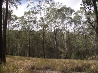 Property Stegemann Road, UPPER GLASTONBURY QLD 4570 IMAGE 0