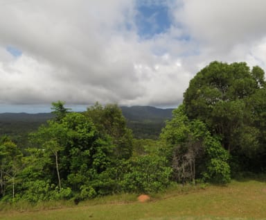 Property 133 MOUNT HAREN ROAD, KURANDA QLD 4881 IMAGE 0