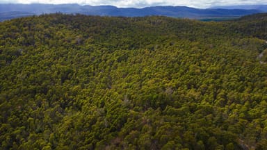 Property 1, 1166 Prossers Road, Underwood TAS 7268 IMAGE 0