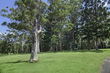 Property 3277 Beechmont Rd, WITHEREN QLD 4275 IMAGE 0