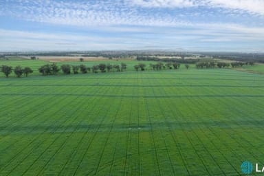 Property 2451 Lachlan River Road, Hillston NSW 2675 IMAGE 0