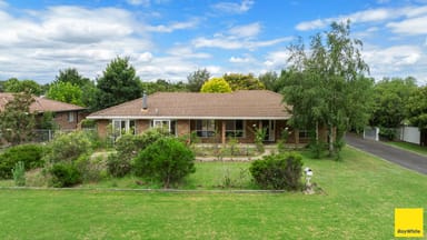 Property 7 Dangar Street, URALLA NSW 2358 IMAGE 0