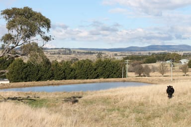 Property 149 Gillamatong Lane, Braidwood NSW 2622 IMAGE 0