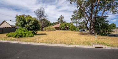Property 1 CENTRAL DRIVE, Tarpeena SA 5277 IMAGE 0