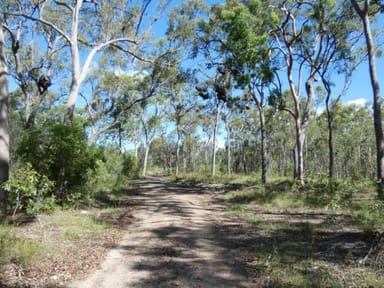 Property 255 Mollenhagens Road, Winfield QLD 4674 IMAGE 0