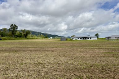 Property 150 Riordanvale Road, Riordanvale QLD 4800 IMAGE 0