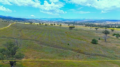 Property 20 Callaghans Lane, QUIRINDI NSW 2343 IMAGE 0