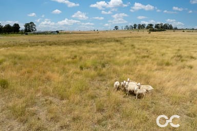 Property 18 Holland Close, Forest Reefs NSW 2798 IMAGE 0