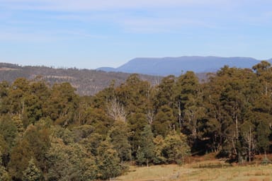 Property 78 Grahams Road, BLACK HILLS TAS 7140 IMAGE 0