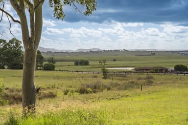Property Lot 223 Hawk Crescent, Lower Belford NSW 2335 IMAGE 0
