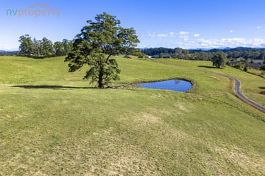 Property Lot 4 /501 Old Coast Road, North Macksville NSW 2447 IMAGE 0