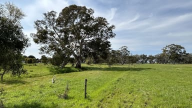 Property 7884 Casterton - Apsley Rd, Apsley VIC 3319 IMAGE 0