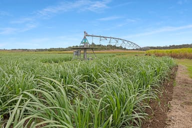 Property 40 Mandersons Road, McIlwraith QLD 4671 IMAGE 0