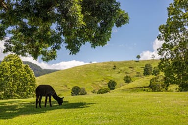 Property Mount Delaney QLD 4514 IMAGE 0