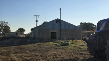 Property 823 Toolamba Road, TOOLAMBA VIC 3614 IMAGE 0