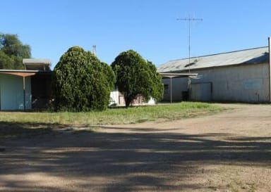 Property Corner McCabe & 54 Market Street, Balranald NSW 2732 IMAGE 0