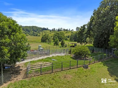 Property 204 Zara Road, Zara NSW 2484 IMAGE 0