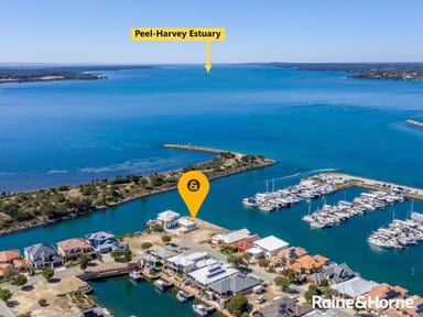 Property 35 Avocet Island Quay, Wannanup WA 6210 IMAGE 0