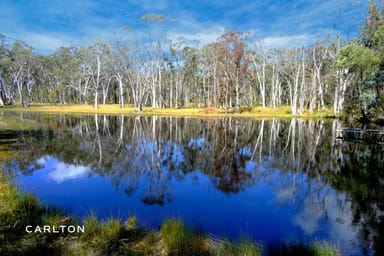 Property Canyonleigh NSW 2577 IMAGE 0