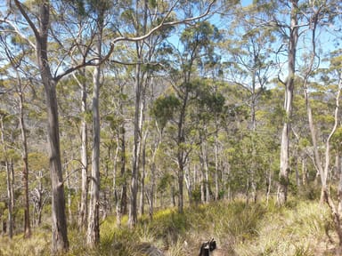 Property Lot 9 Bull Oak Way, GROVE TAS 7109 IMAGE 0