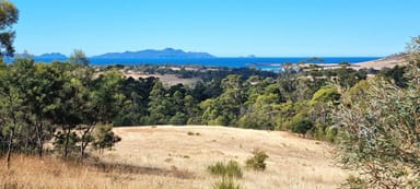 Property 2, 10923 Tasman Highway, Little Swanport TAS 7190 IMAGE 0