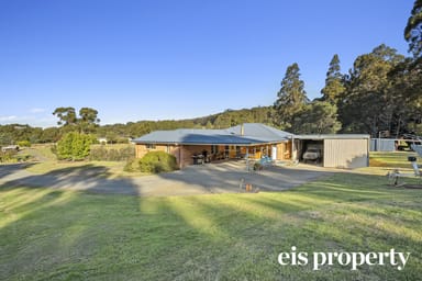 Property 20 Costains Road, GEEVESTON TAS 7116 IMAGE 0