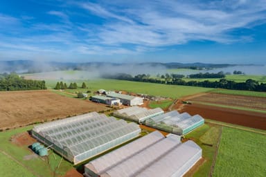 Property 68 Paddys Plains Road, NORTH DORRIGO NSW 2453 IMAGE 0