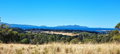 Property 2, 10923 Tasman Highway, Little Swanport TAS 7190 IMAGE 0