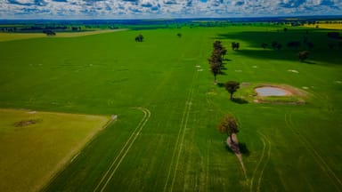 Property 80 Lucas Lane, COOLAMON NSW 2701 IMAGE 0