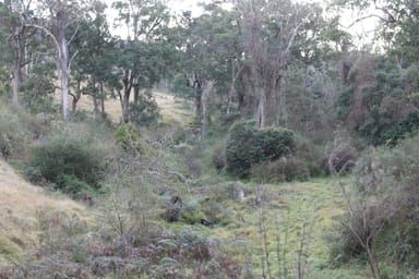 Property Lot 2 Off Neringla Road, BRAIDWOOD NSW 2622 IMAGE 0