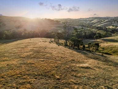 Property 23 Wilkinsons Road, Sedgwick  IMAGE 0